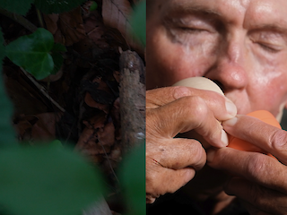 Bachelorarbeit «Memoscent» von Alissa Knopp der Fachrichtung Industrial Design. © ZHdK.