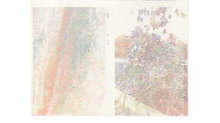 Bachelorarbeit «printed plants catalog» von Nicolas Wagner. Fachrichtung Visual Communication. © ZHdK.