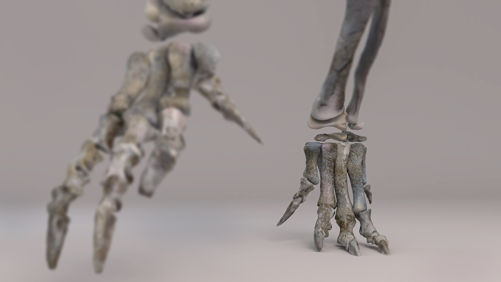 Now They Use Two Legs