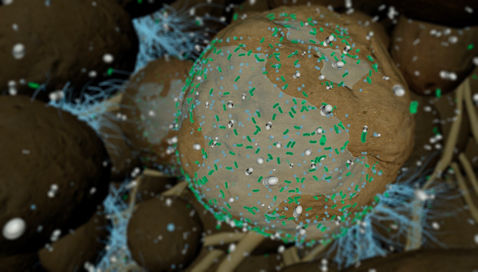 Der Boden: unser Verbündeter im Kampf gegen den Klimawandel