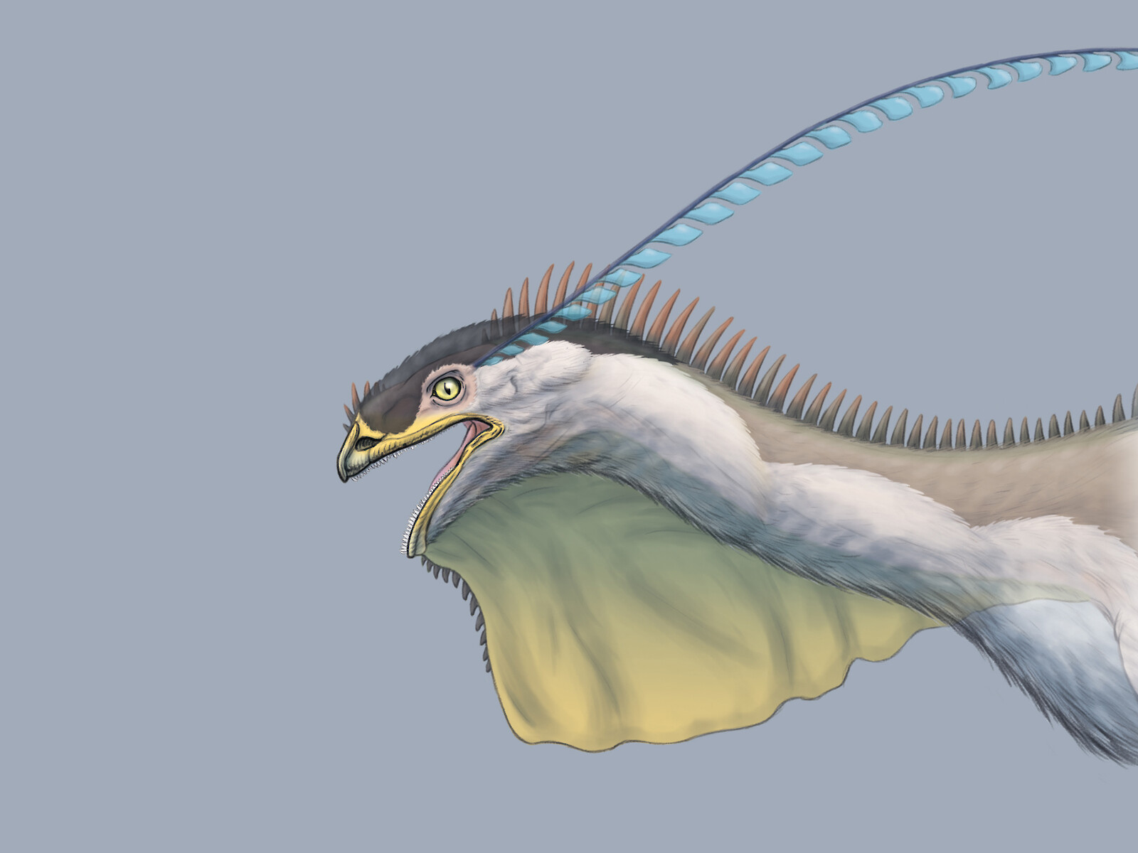 Schillernde Federn, knorrige Schuppen