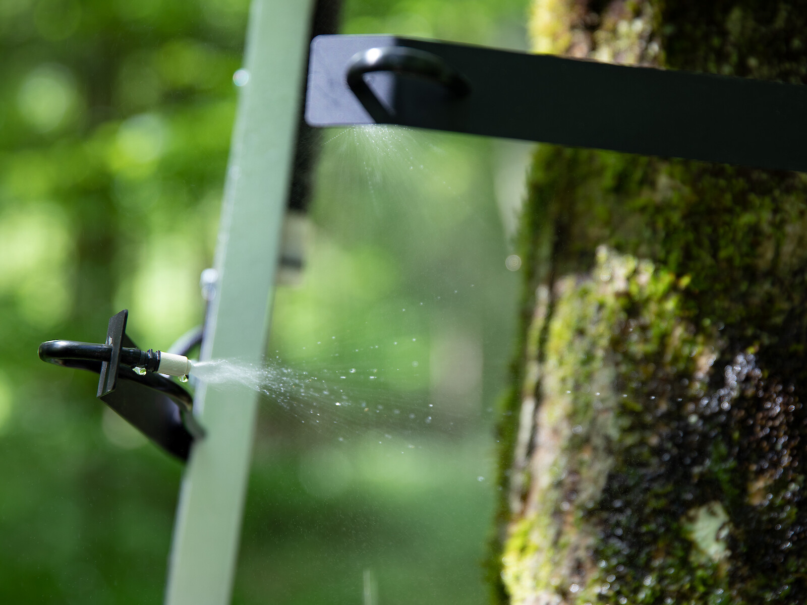 Dialoguing with Ecologies