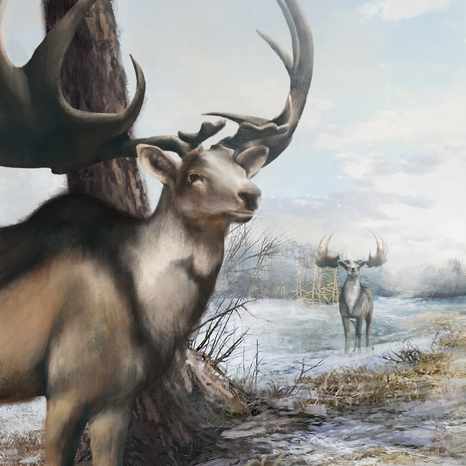 Rund-um Riesenhirsch