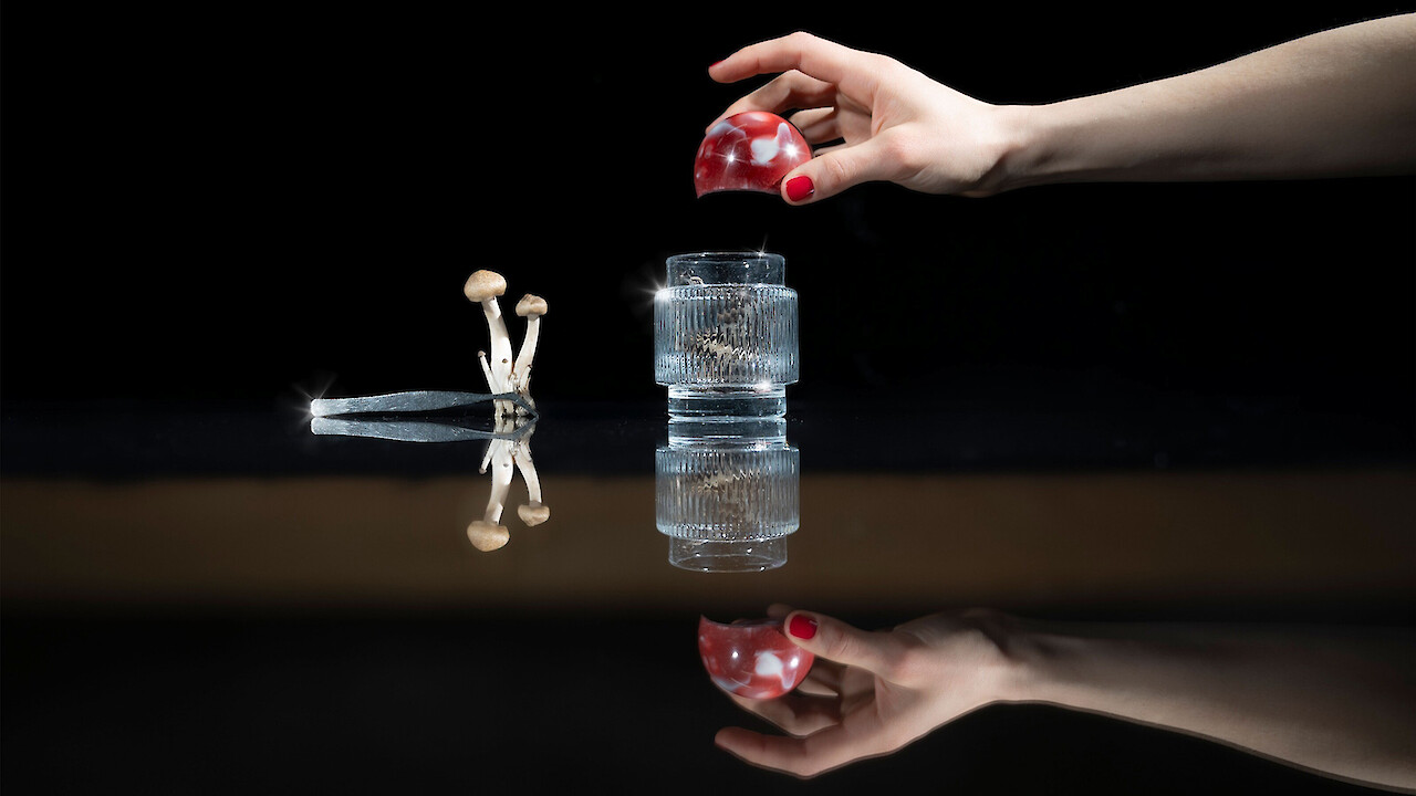 Online presentation MA Major Design