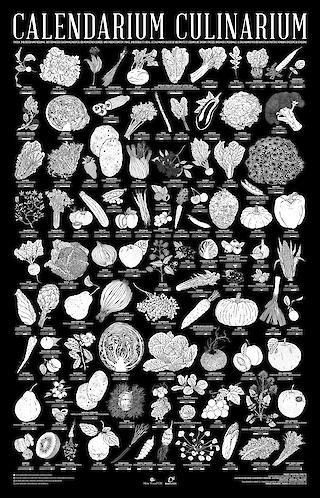 © Flurina Gradin Anna Pearson Nando von Arb