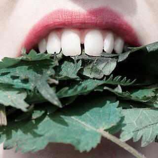 © Johanna Maierl Celine Arnould Christoph Ibrahim