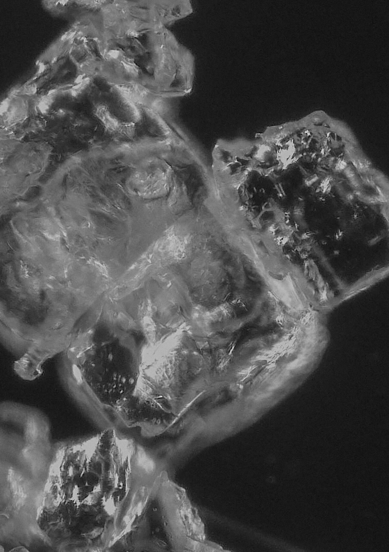 © ZHdK Trends & Identity